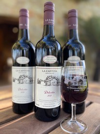 Dolcetto 2022 - Dozen Special