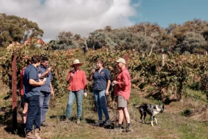 Wines with neighbours and friends